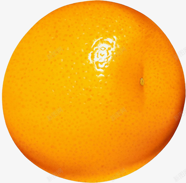 黄色的橙子png免抠素材_新图网 https://ixintu.com 橙子 水果 食物 黄色