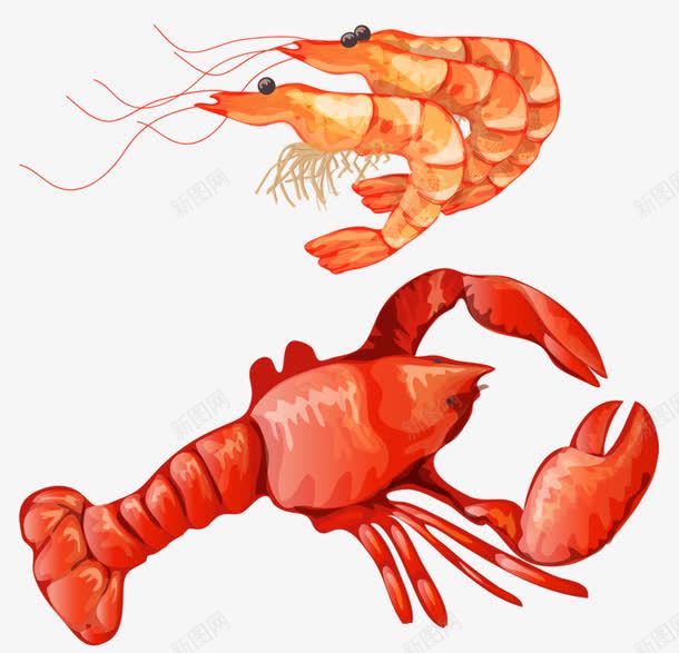红色大虾png免抠素材_新图网 https://ixintu.com 卡通 大虾 手绘 红色 食物