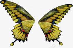 绿色蝴蝶透明背景素材