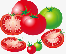 精美蔬菜西红柿矢量图素材