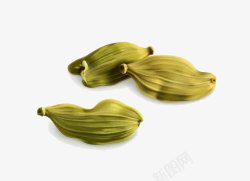 卡通茴香茴香高清图片