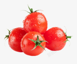 健康绿色水果小番茄素材