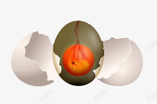 创意鸡蛋变小鸡过程png免抠素材_新图网 https://ixintu.com 创意 奇迹 小鸡 神奇 蛋壳 鸡蛋创意