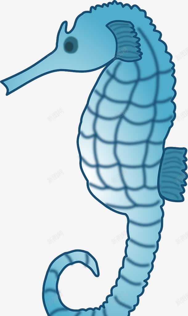 蓝色的海马png免抠素材_新图网 https://ixintu.com 海洋 海马 生物 蓝色