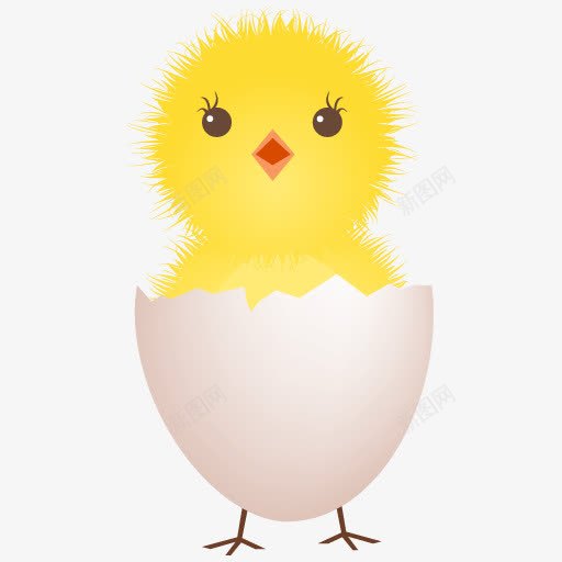 鸡蛋壳图标png_新图网 https://ixintu.com chicken egg shell 壳牌 蛋 鸡