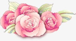 粉色典雅花朵手绘素材
