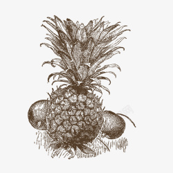 卡通手绘植物菠萝素材