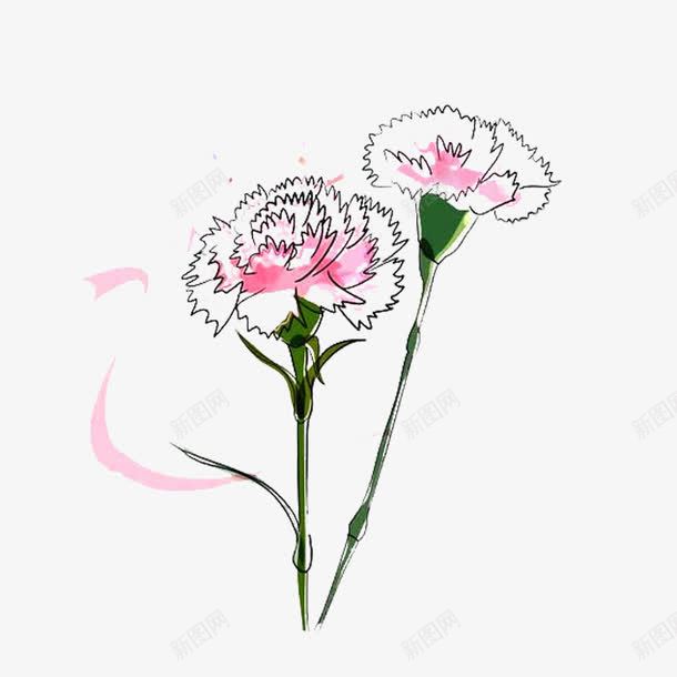 白色康乃馨png免抠素材_新图网 https://ixintu.com 卡通 康乃馨 植物 花卉 花朵 装饰