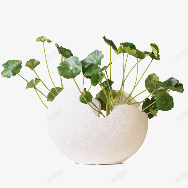 白色花瓶png免抠素材_新图网 https://ixintu.com 产品实物图 白色 绿植 花瓶 陶瓷