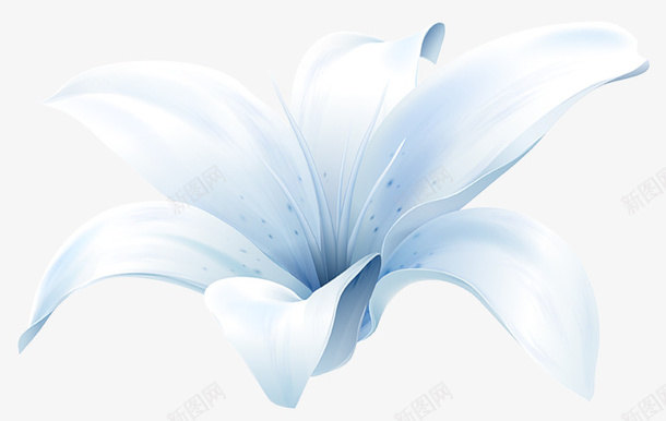 蓝色清新花朵png免抠素材_新图网 https://ixintu.com 清新 简约 自然 花朵 蓝色