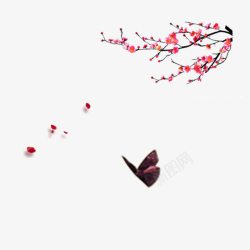 红梅和蝴蝶古风手绘素材