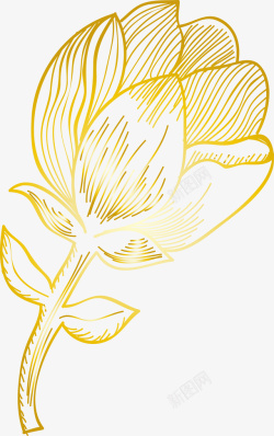 一朵金色的花朵图素材