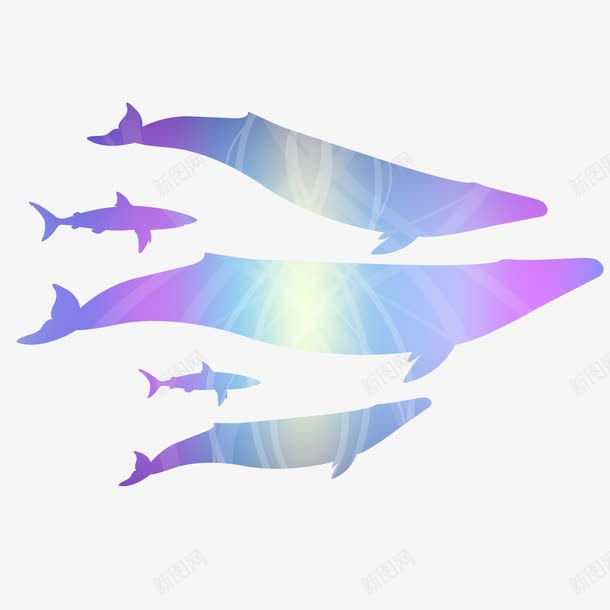 鱼群png免抠素材_新图网 https://ixintu.com 免费矢量下载 唯美 插画 紫色 鱼群