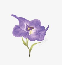 唯美清新森系手绘紫色花朵素材