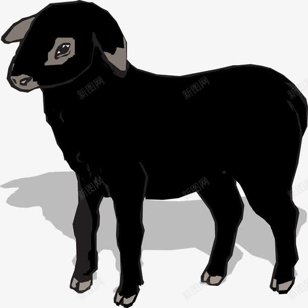 黑色的小羊png免抠素材_新图网 https://ixintu.com 健壮 健壮身材 动物 小羊 黑色