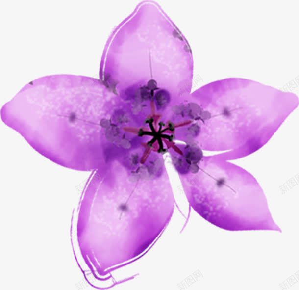 创意合成紫色的花卉手绘png免抠素材_新图网 https://ixintu.com 创意 合成 紫色 花卉