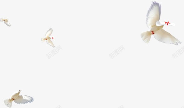 白色和平鸽创意装饰png免抠素材_新图网 https://ixintu.com 创意 和平鸽 白色 装饰
