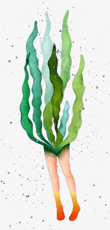 彩绘水草植物图案png免抠素材_新图网 https://ixintu.com 创意图案 彩绘水草 植物图案