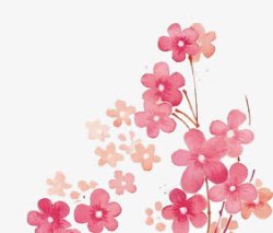 小粉花素材
