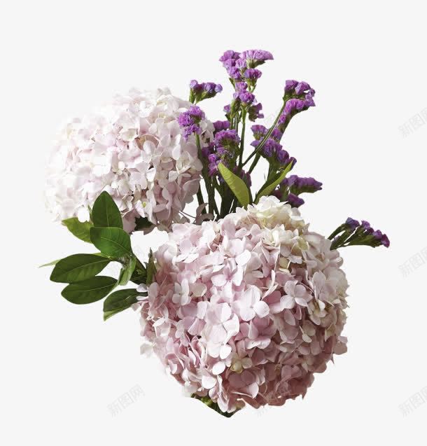 紫色浪漫花朵装饰png免抠素材_新图网 https://ixintu.com 浪漫 紫色 花朵 装饰