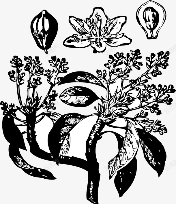 卡通手绘植物线条花朵png免抠素材_新图网 https://ixintu.com 卡通 手绘 植物 花