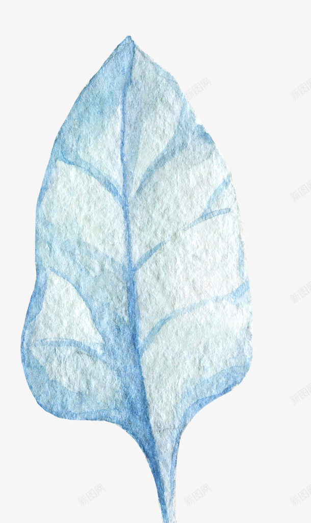 蓝色树叶上的纹理png免抠素材_新图网 https://ixintu.com png图形 png装饰 手绘 纹理 蓝色 装饰
