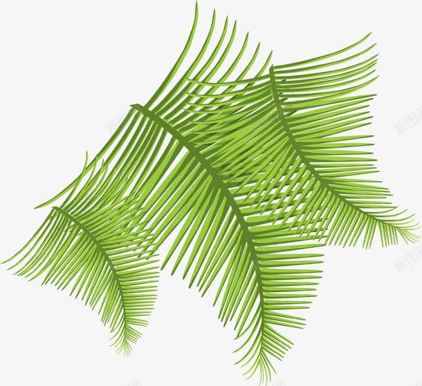 活动海报绿色植物摄影png免抠素材_新图网 https://ixintu.com 摄影 活动 海报 绿色植物