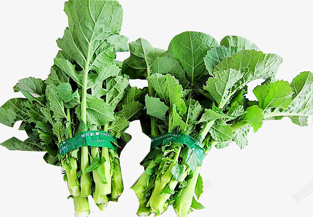 油菜苔绿色蔬菜png免抠素材_新图网 https://ixintu.com 油菜苔 绿色 绿色蔬菜 蔬菜