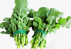 芸苔油菜苔绿色蔬菜高清图片