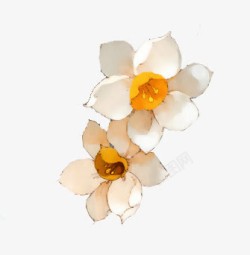 手绘白色花朵黄芯素材