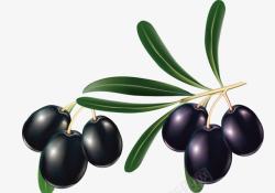 黑色油橄榄素材