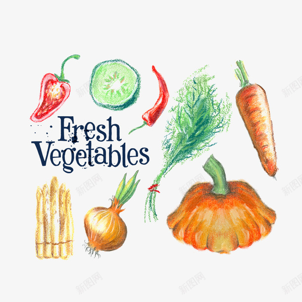 蔬菜手绘免费矢量图eps免抠素材_新图网 https://ixintu.com 手绘 美食 蔬菜 矢量图