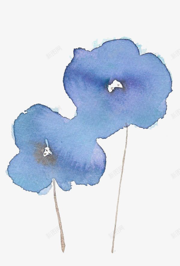 手绘两朵蓝色的花png免抠素材_新图网 https://ixintu.com 两朵 手绘 水彩 花 蓝色