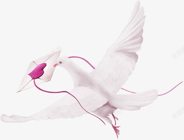 白色清新信鸽装饰图案png免抠素材_新图网 https://ixintu.com 信鸽 免抠PNG 清新 白色 装饰图案 飞鸽传书