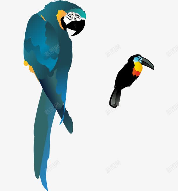 卡通手绘彩色鹦鹉png免抠素材_新图网 https://ixintu.com 卡通的动物 平面鹦鹉素材 彩色的鹦鹉 手绘的鹦鹉