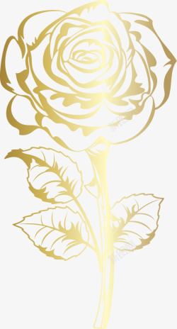 透明金色花朵玫瑰素材