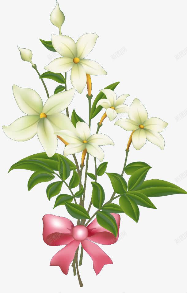 花卉png免抠素材_新图网 https://ixintu.com 白色 花卉 花朵 花簇