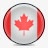 国旗加拿大使人上瘾的味道图标图标