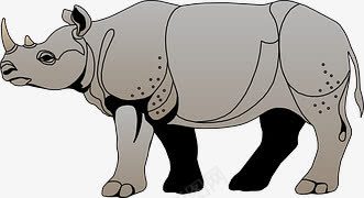 卡通犀牛png免抠素材_新图网 https://ixintu.com 动物犀牛 哺乳动物 独角犀