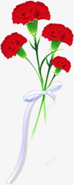 红色手绘康乃馨花朵素材