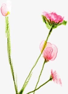 粉色手绘创意植物春日素材