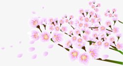 粉色精美手绘花朵春天素材