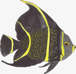 手绘黑黄相间的鱼素材