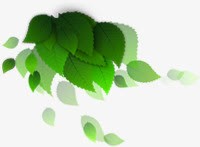 绿色梦幻艺术树叶素材