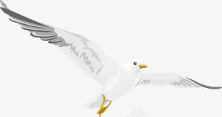 海报白色鸽子png免抠素材_新图网 https://ixintu.com 海报 白色 设计 鸽子