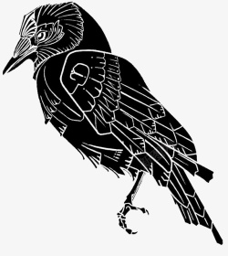黑白鸟图装饰简单素材