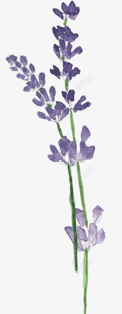 紫色手绘装饰花素材