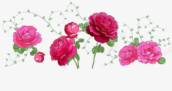 花儿png免抠素材_新图网 https://ixintu.com 手绘花朵 插画 海报装饰图案 粉紫色月季