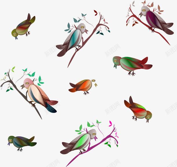 可爱的鸟儿png免抠素材_新图网 https://ixintu.com 可爱的小鸟 啄木鸟 树枝上的啄木鸟 除虫