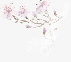 手绘唯美韩版花朵素材
